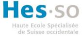 HAUTE ECOLE SPECIALISEE DE SUISSE OCCIDENTALE